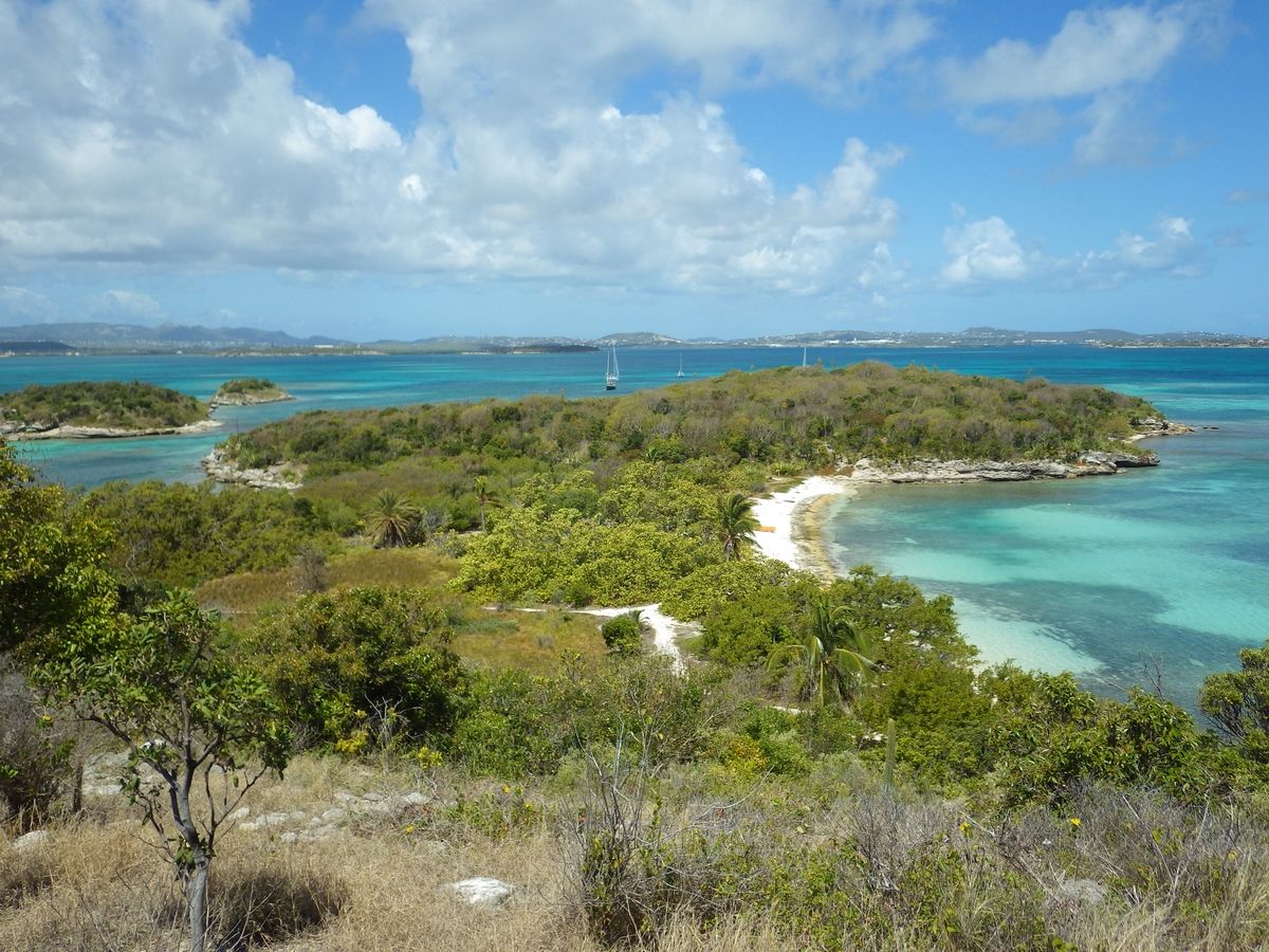 great bird island antigua